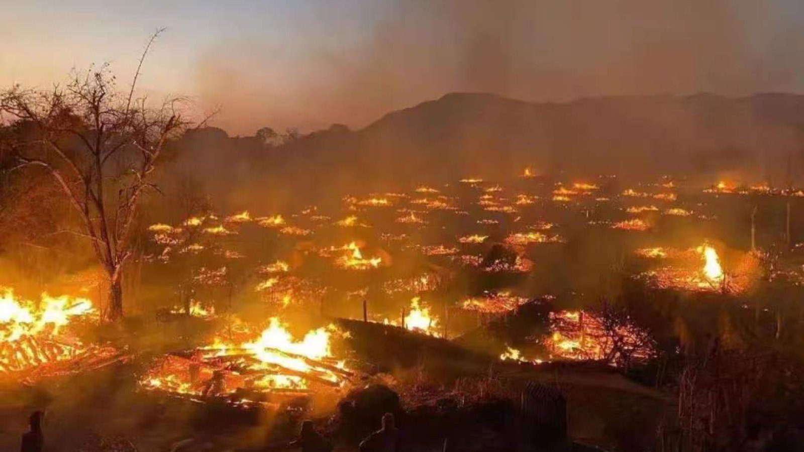 🏯 금강정사 (콘고초지) 이미지 8